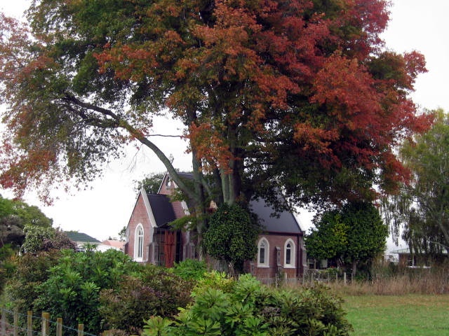 St Luke's church and memorial oak, Waerenga-a-hika