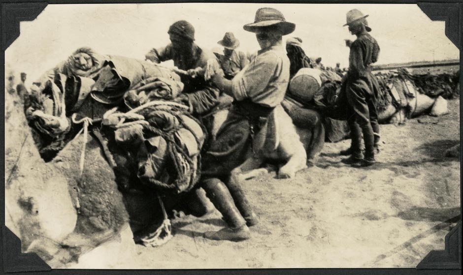 Wellington mounteds loading camels, Egypt
