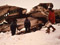 Plane wreckage on Mt Erebus