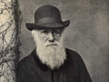 Charles Darwin leaves New Zealand after nine-day visit