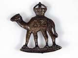 The Imperial Camel Corps