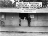 The 1918 influenza pandemic