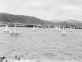 Wellington-Lyttelton yacht race tragedy