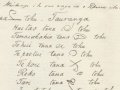 Tauranga treaty copy