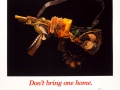 Biosecurity poster, 1990s