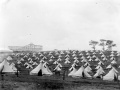 Mounted special constables' camp, Auckland Domain, 1913