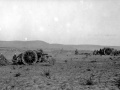 British artillery firing at Rafa