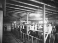 Inhalation chamber during the 1918 influenza pandemic