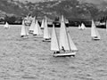 Wellington-Lyttelton yacht race tragedy