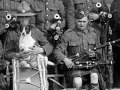 Auckland Regimental pipe band in France, 1918
