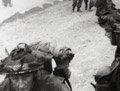 British troops struggling ashore on D-Day
