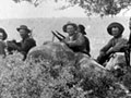 Boer guerrilla fighters