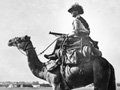 Australian camelier 1916