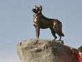 Gladys Goodall's sheepdog memorial
