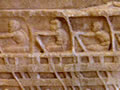 Ancient Greek rowers