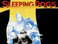 <em>Sleeping Dogs</em> movie poster