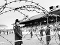 Barricade at Invercargill, 1981 Springbok Tour