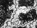 Aerial photo of Somme trench systems