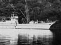 The government steamer Hinemoa