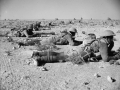 New Zealand troops training in Egypt