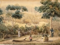 Ruapekapeka, 1846
