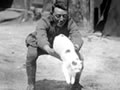 New Zealand Tunnellers' mascot, Snowy the cat