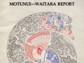 Waitangi Tribunal rules on Motunui claim