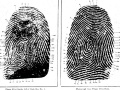 Fingerprints help convict murderer