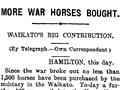 Purchasing Waikato horses for war