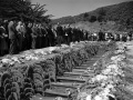 Funeral for Tangiwai disaster victims