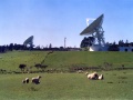 Warkworth Satellite Earth Station