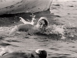 First woman swims Cook Strait