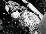 DC-3 crashes in Kaimai Range