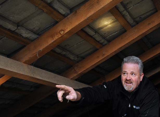Inspecting old insulation in a home
