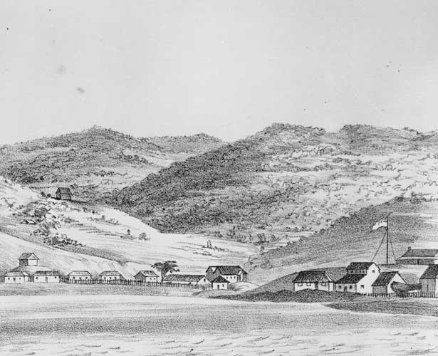 Sketch of a group of buildings by shore and the United Tribes of New Zealand flag on a flagpole.