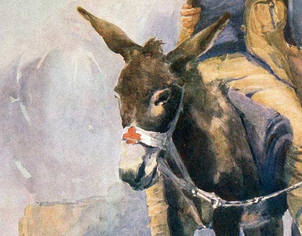 Simpson and his donkey
