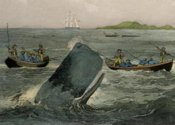 South Seas whaling painting