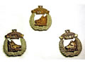 Collar and cap badges