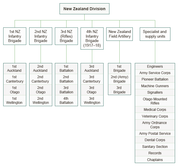 New Zealand Division formation, 1916