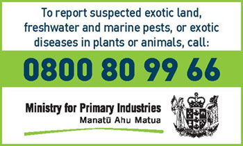 MPI biosecurity hotline
