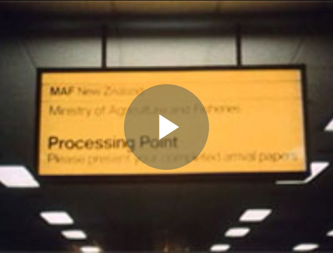 Television programme about the quarantine system in 1986