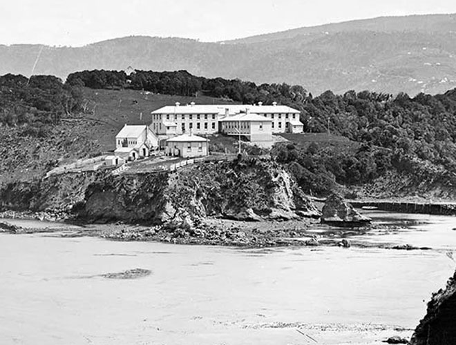 Quarantine Island, Otago Harbour