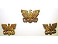 Collar and cap badges