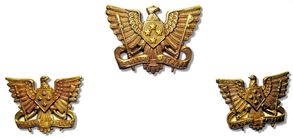 3rd Auckland Squadron badge