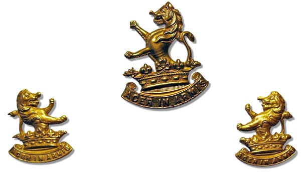 7th Wellington West Coast Company badge