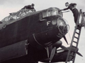 Bomber crew