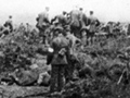 Anzac armistice