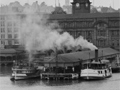 Auckland ferry terminal