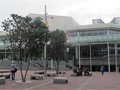 Auckland Town Hall