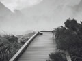Wayne Barrar photograph